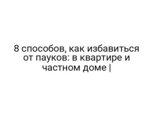 8 способов, как избавиться от пауков: в квартире и частном доме |