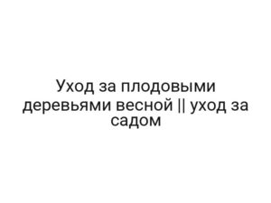 Уход за плодовыми деревьями весной || уход за садом